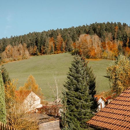 Les Hopitaux-Neufs Terrasse Des Monts - Duplex Independant De Charme 아파트 외부 사진